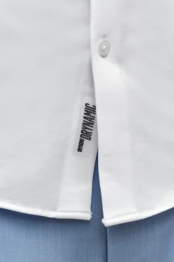 SPIN